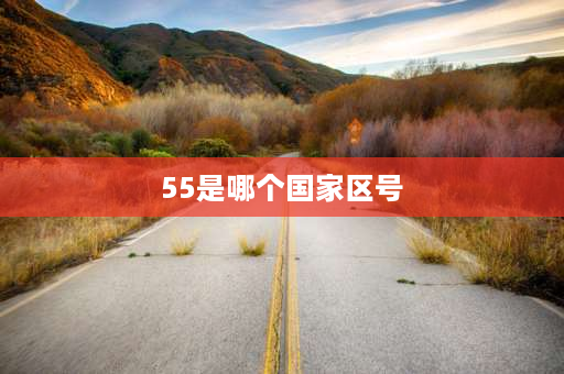 55是哪个国家区号 区号,o55是那里区号？