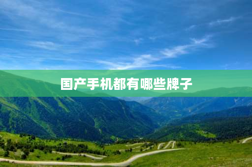 国产手机都有哪些牌子 2021年国产手机销量排行榜前十名？