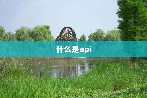 什么是api api是什么意思网络用语？