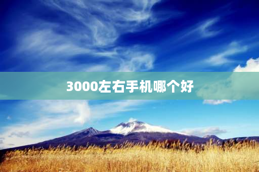 3000左右手机哪个好 3000元左右性价比高的手机排行榜？