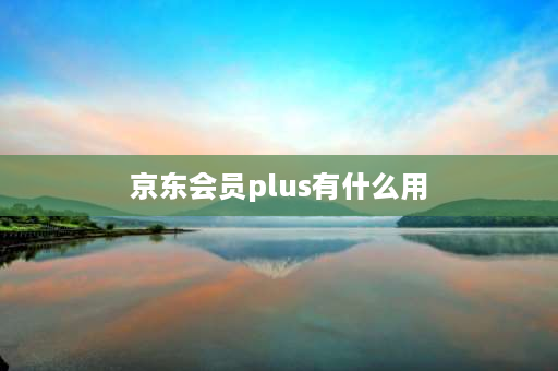 京东会员plus有什么用 京东plus什么时候用？