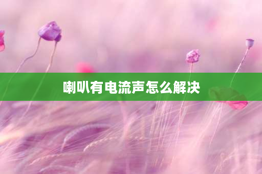 喇叭有电流声怎么解决 喇叭有电流声怎么解决？