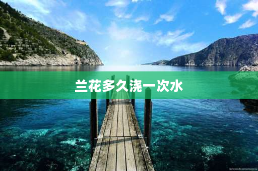 兰花多久浇一次水 兰花要多久浇一次水？