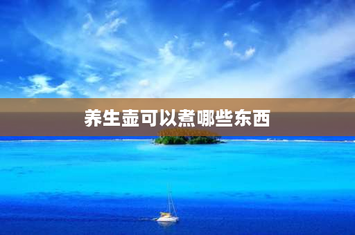 养生壶可以煮哪些东西 养生壶煮什么最好？