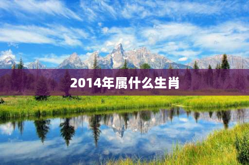 2014年属什么生肖 2014生的宝宝属什么？