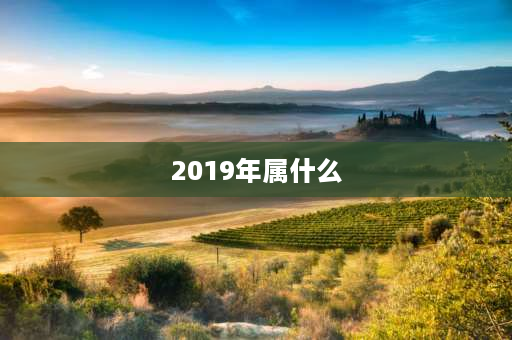 2019年属什么 1999年出生到2018年多少岁？