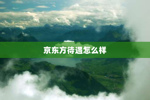 京东方待遇怎么样 武汉京东方员工待遇怎么样？