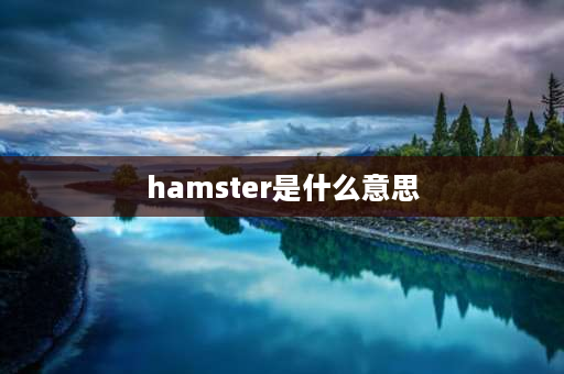 hamster是什么意思 什么是cho？