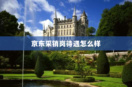 京东采销岗待遇怎么样 京东分类怎么变成采销直播了？