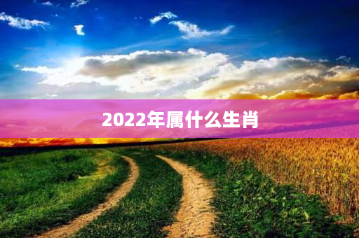 2022年属什么生肖 2022年属相是什么年？