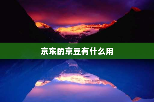 京东的京豆有什么用 京东600金豆有什么用？