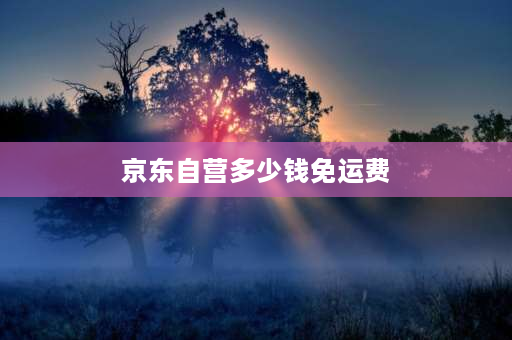 京东自营多少钱免运费 京东商城满多少免运费？