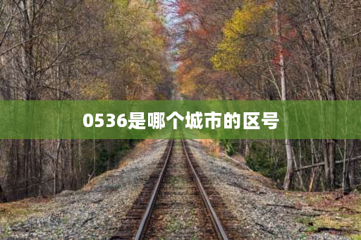 0536是哪个城市的区号 请问我国哪些城市的区号为030，040，050，060，070，080，090的？