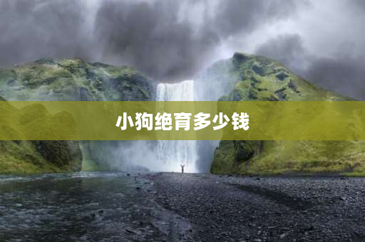 小狗绝育多少钱 公金毛绝育多少钱，金毛该不该绝育？