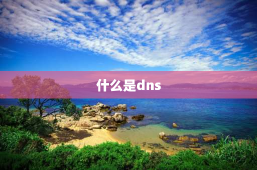 什么是dns 什么叫dns？