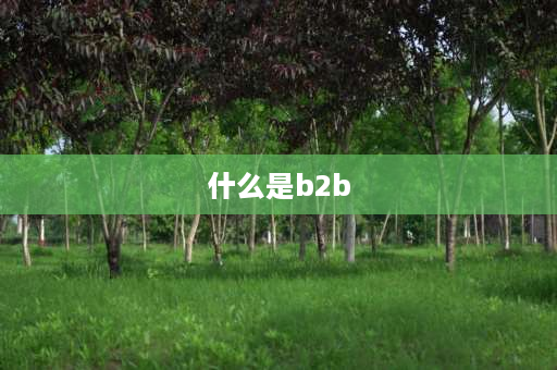 什么是b2b B2B是什么？