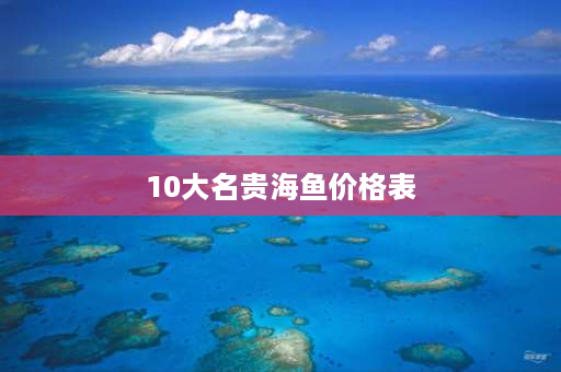 10大名贵海鱼价格表 世界上最贵的鱼排名？