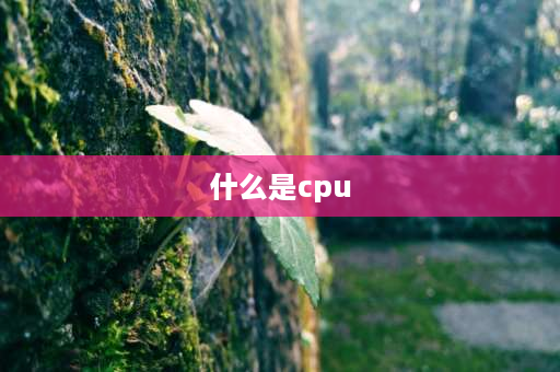 什么是cpu 天玑和helio有什么区别？