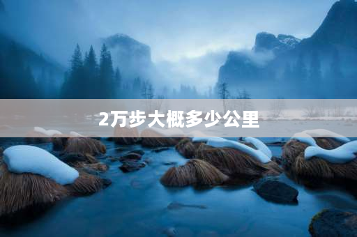 2万步大概多少公里 2万步需要走多长时间？