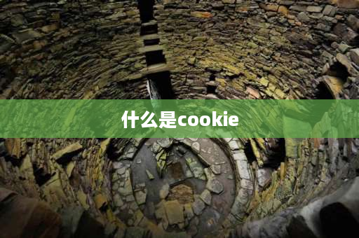 什么是cookie cookies和biscuits有什么区别？