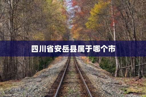 四川省安岳县属于哪个市 安岳属于哪个市管？