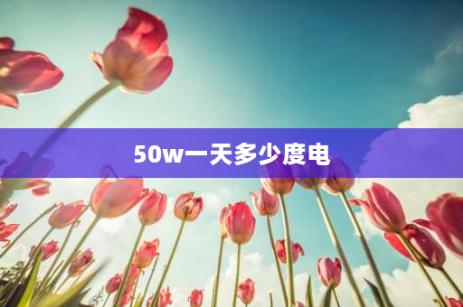 50w一天多少度电 50瓦的灯泡一天需要几度电？