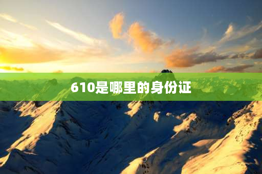 610是哪里的身份证 610身份证开头17结尾是哪里的？