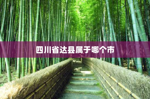 四川省达县属于哪个市 达县在四川省的哪个地区？