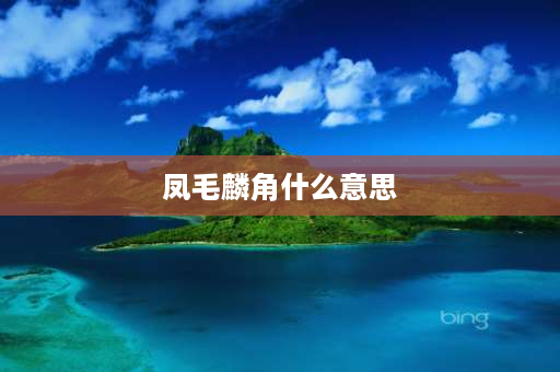 凤毛麟角什么意思 凤毛麟角什么意思？