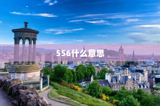 556什么意思 500以上的数字是什么？