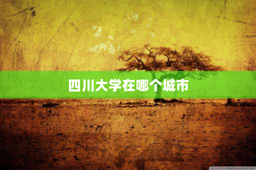 四川大学在哪个城市 四川大学到底几个校区？