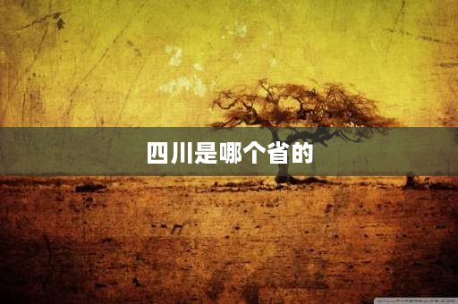 四川是哪个省的 成都和哪几个省市相邻？