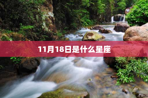 11月18日是什么星座 2018年阳历11月18是什么星座？