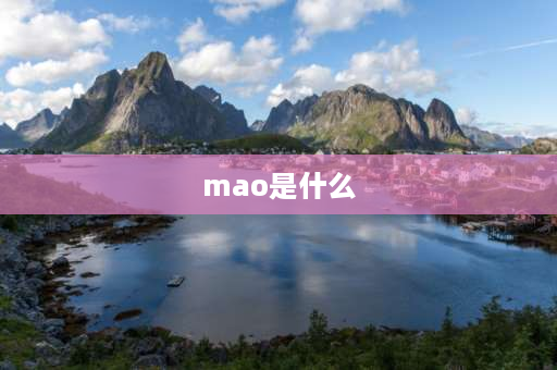 mao是什么 mao代表什么意思元素？