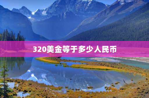 320美金等于多少人民币 办理中港车牌需要什么条件？