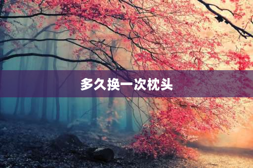 多久换一次枕头 各种枕芯多久更换一次？