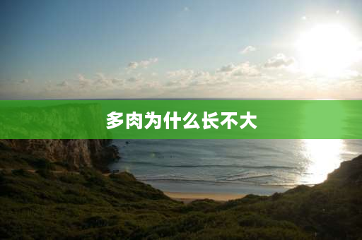 多肉为什么长不大 为什么多肉不死但是不长？