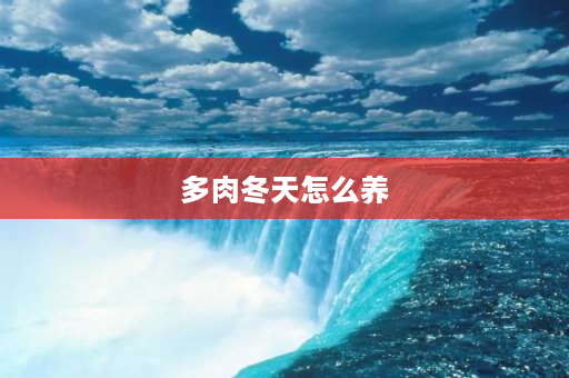 多肉冬天怎么养 多肉冬季怎么养才能更旺盛？