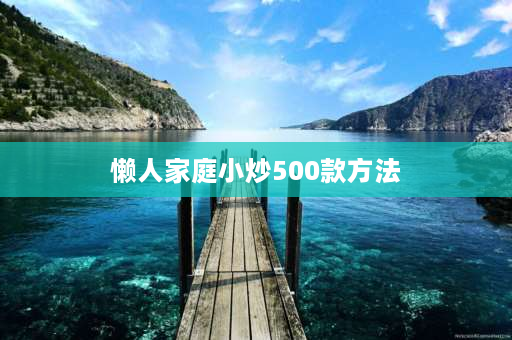 懒人家庭小炒500款方法 不用炒锅可以做的菜？