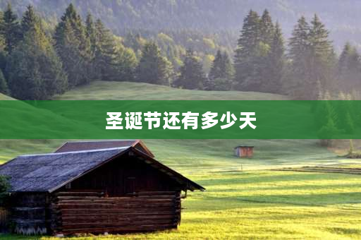 圣诞节还有多少天 2021年12月还剩几天？