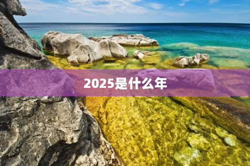 2025是什么年 怎么算2025年是什么年？