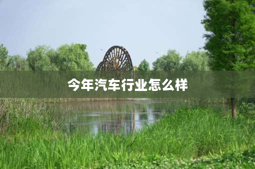 今年汽车行业怎么样 汽车行业的现状及前景分析？