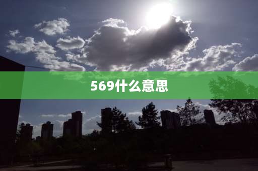 569什么意思 5696数字寓意含义？