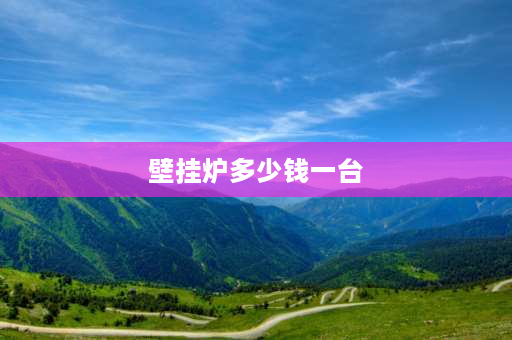 壁挂炉多少钱一台 羽顺壁挂炉最新价格？