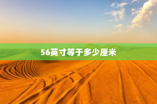 56英寸等于多少厘米 56寸手机有多大？