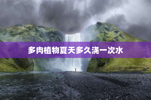 多肉植物夏天多久浇一次水 多肉多久浇一次水？