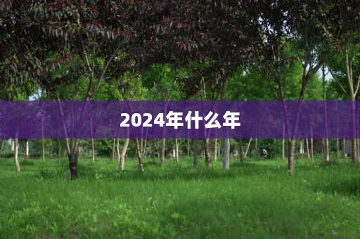 2024年什么年 兔年是2024年吗？