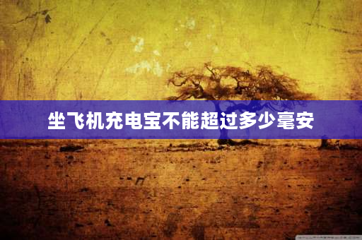 坐飞机充电宝不能超过多少毫安 坐飞机移动电源不能超过多少毫安？