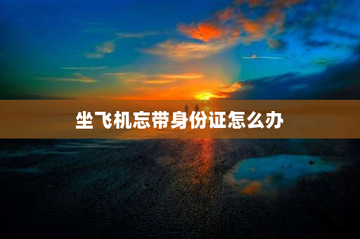 坐飞机忘带身份证怎么办 没有身份证怎么取机票？