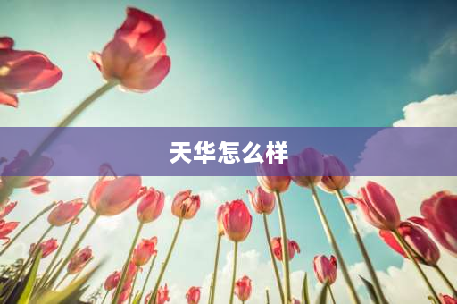 天华怎么样 天津天华高级中学口碑？